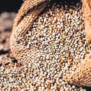 Millets - 3