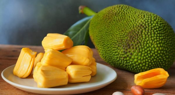 Jackfruit - 5