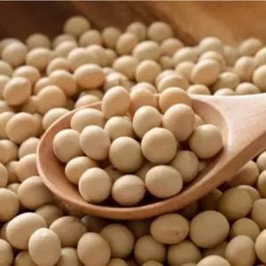 Soya - 3