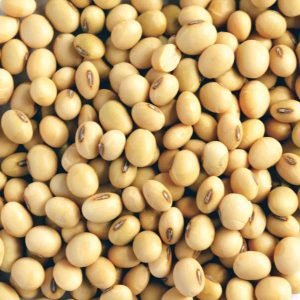 Soya - 5