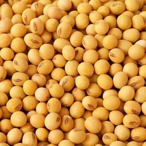 Soya - 7